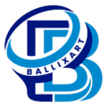cropped logo ballixart png.png
